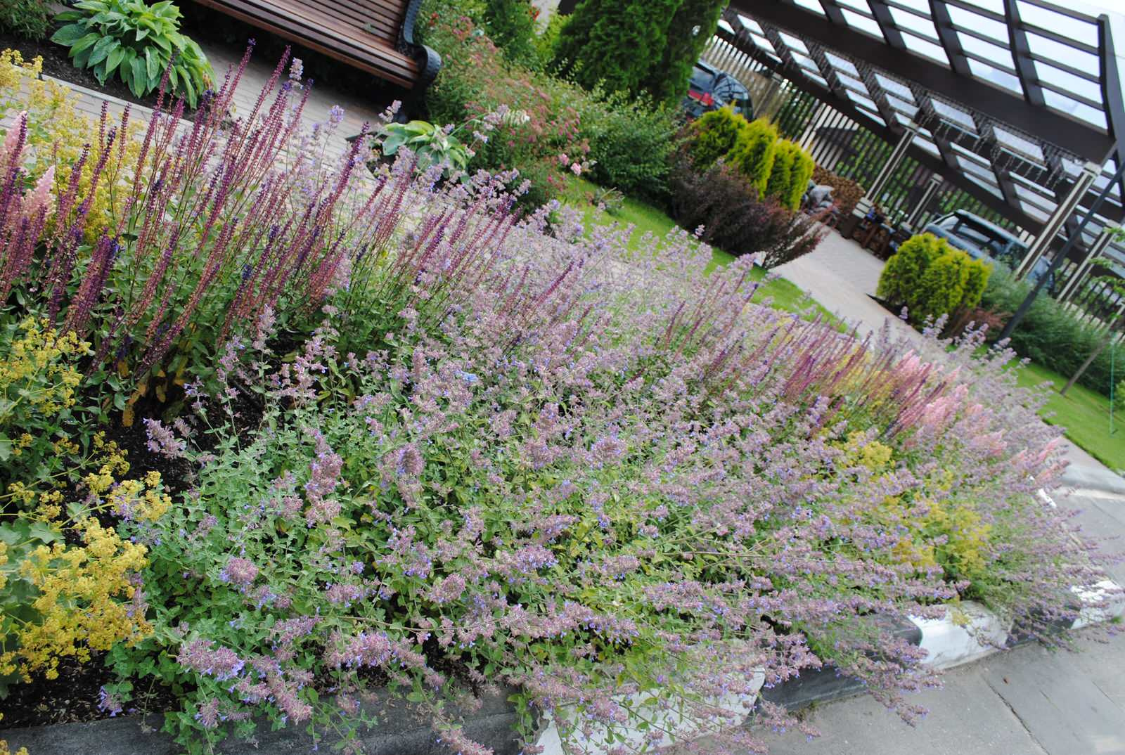 До и после: 9 соток — сад у смежных таунхаусов