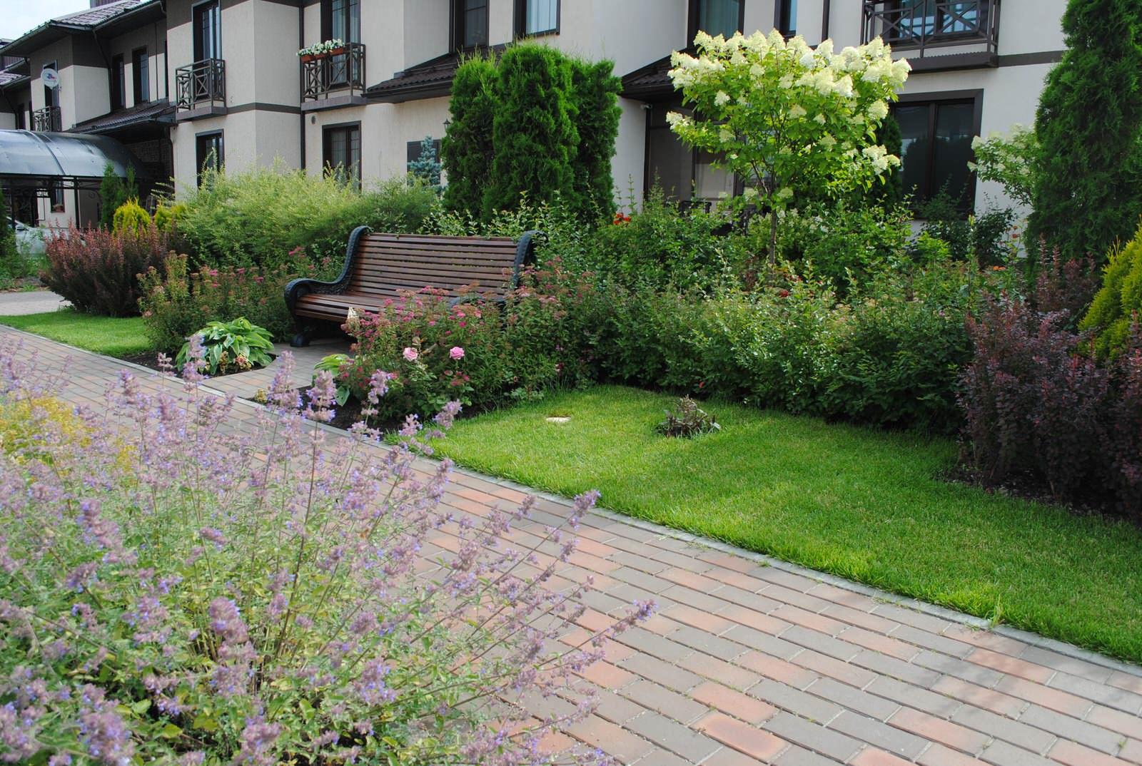 До и после: 9 соток — сад у смежных таунхаусов