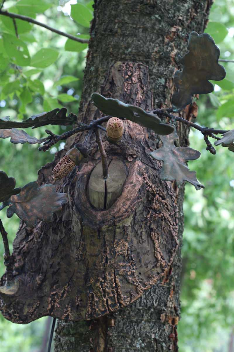 Обложка проекта: Освещение из живых цветов и растений от Натали Новак