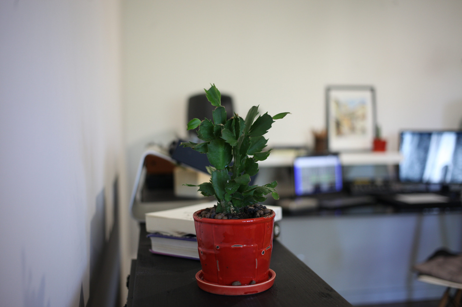 Сканди в хрущёвке