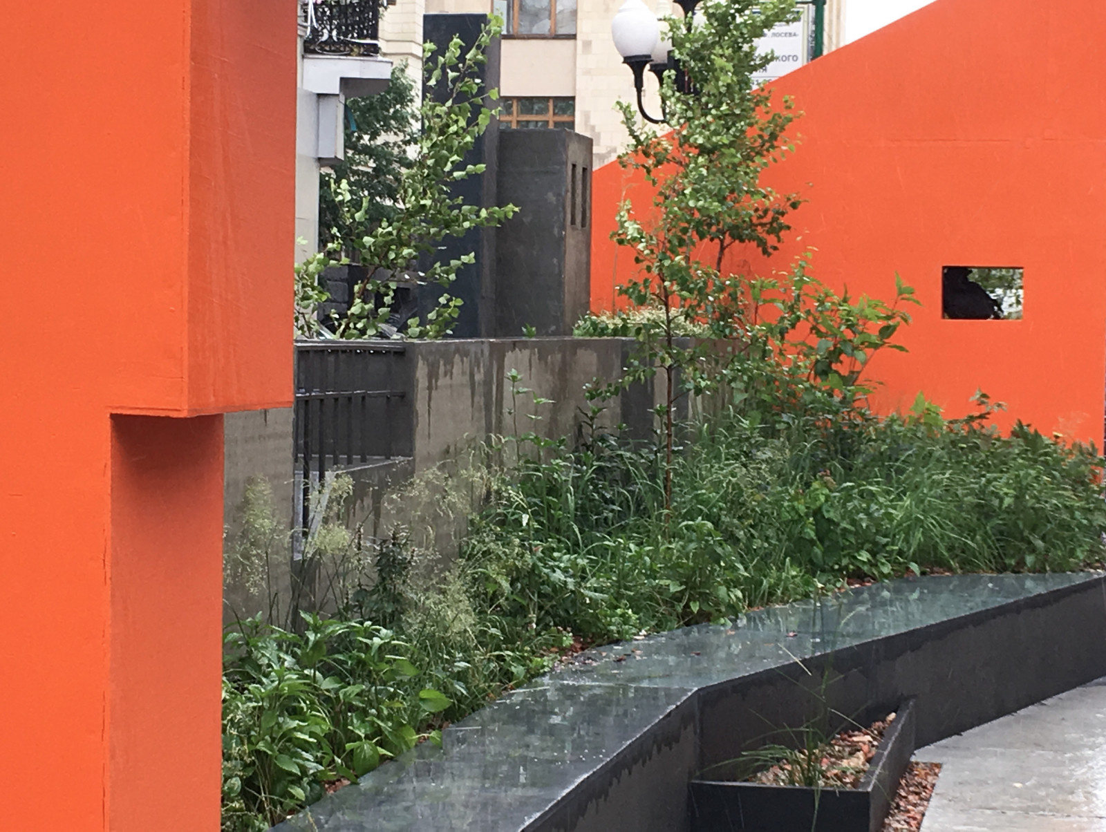 Выше крыши. Цветочный джем