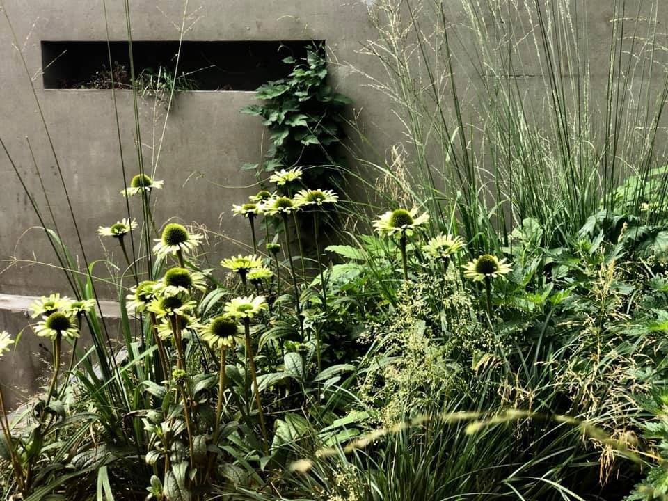 Выше крыши. Цветочный джем