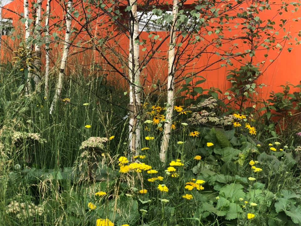 Выше крыши. Цветочный джем