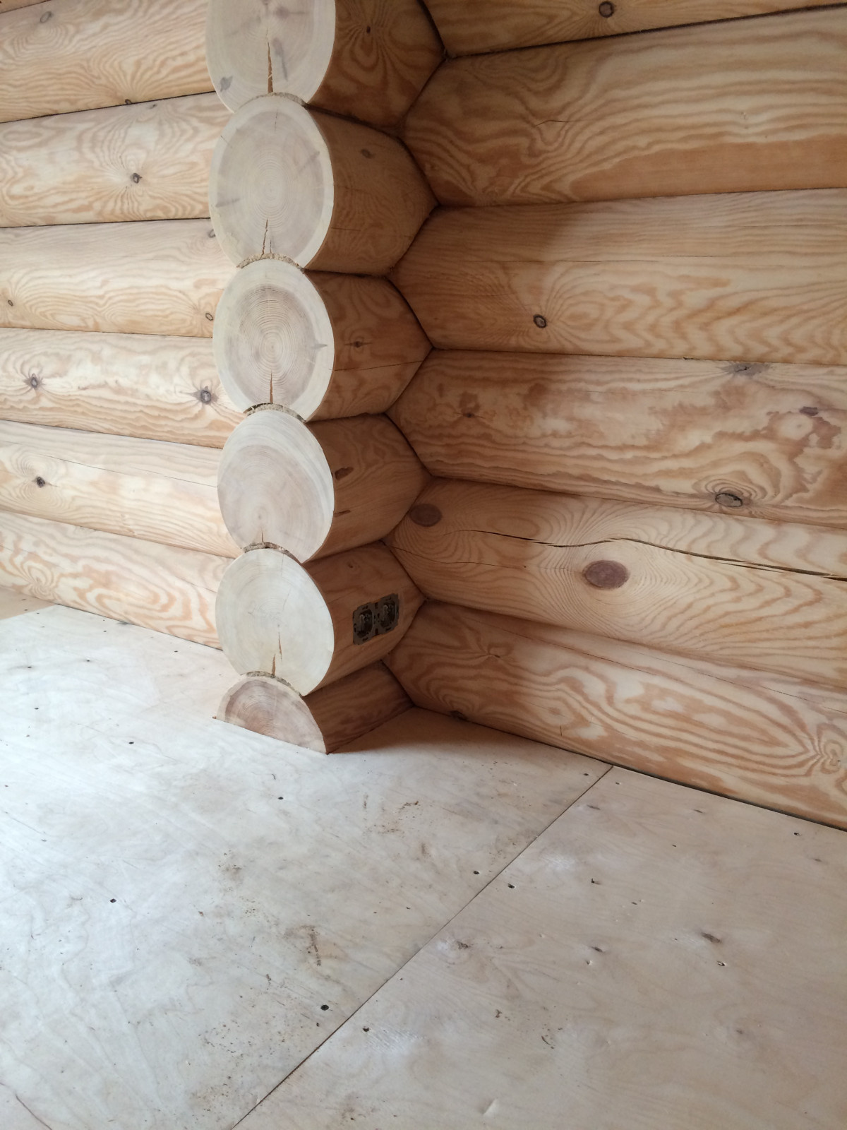 Денис Коротков