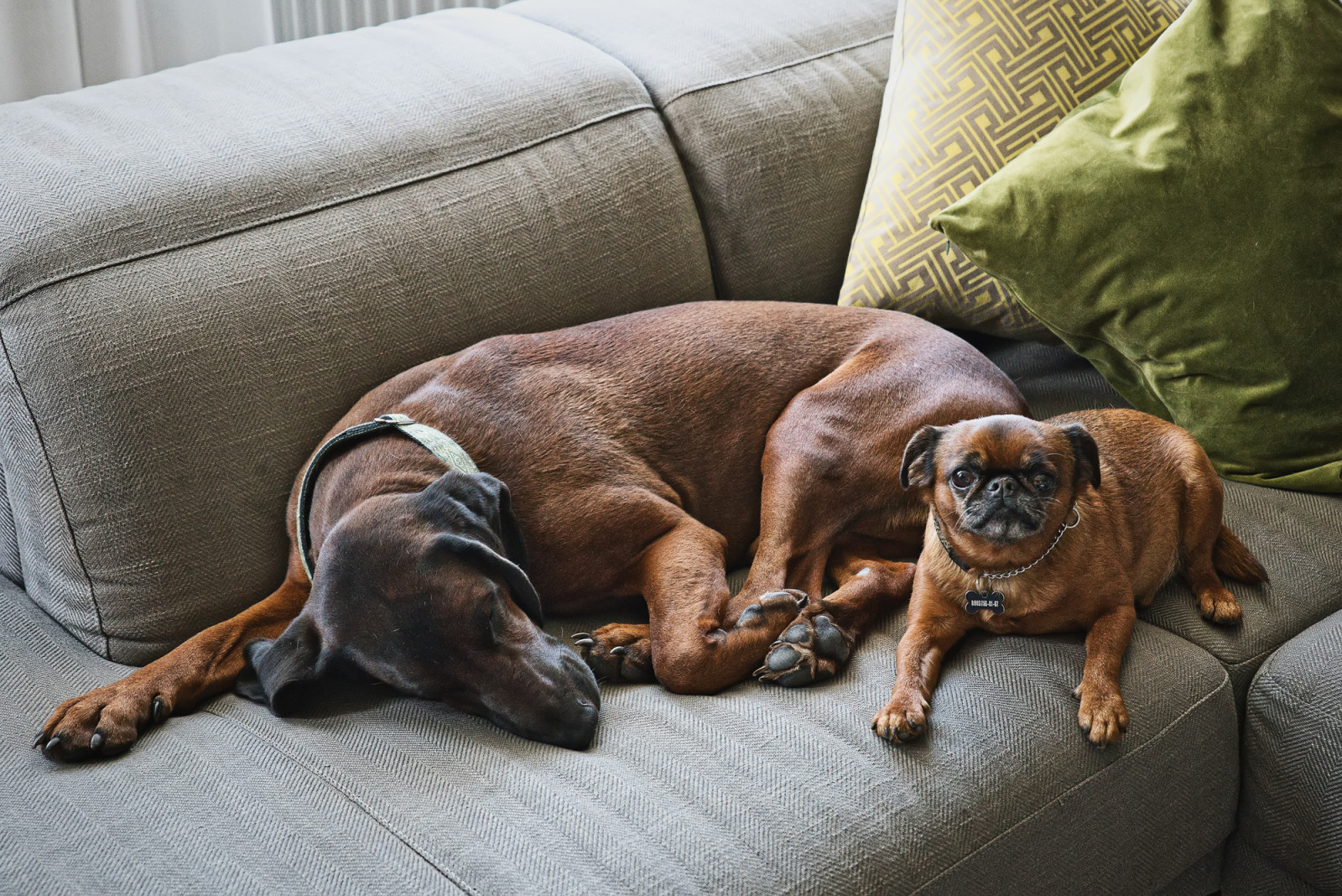 Квартира на Циолковского