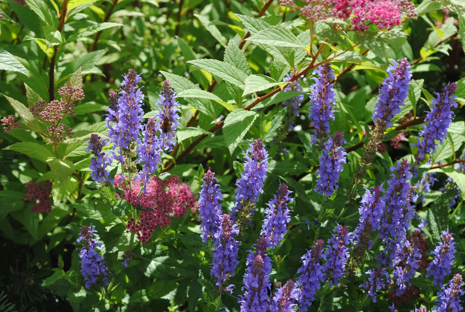 Дмитровское шоссе