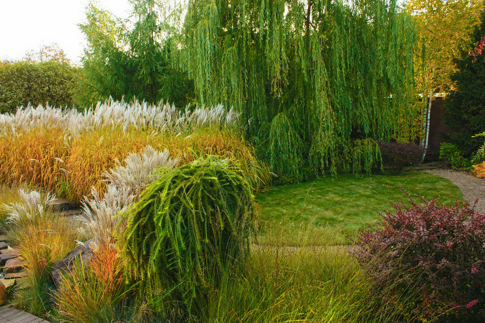 Ландшафтный проект участка с садом трав в Лесном городке