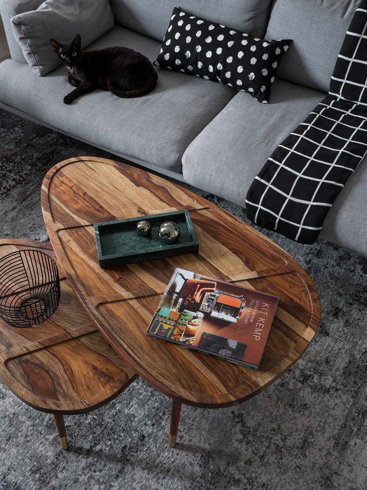 Houzz тур: Небоскреб для кота Кефира и семьи