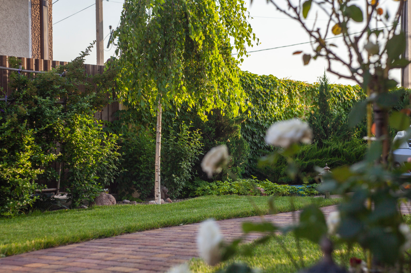 Ландшафтный дизайн в Новороссийске