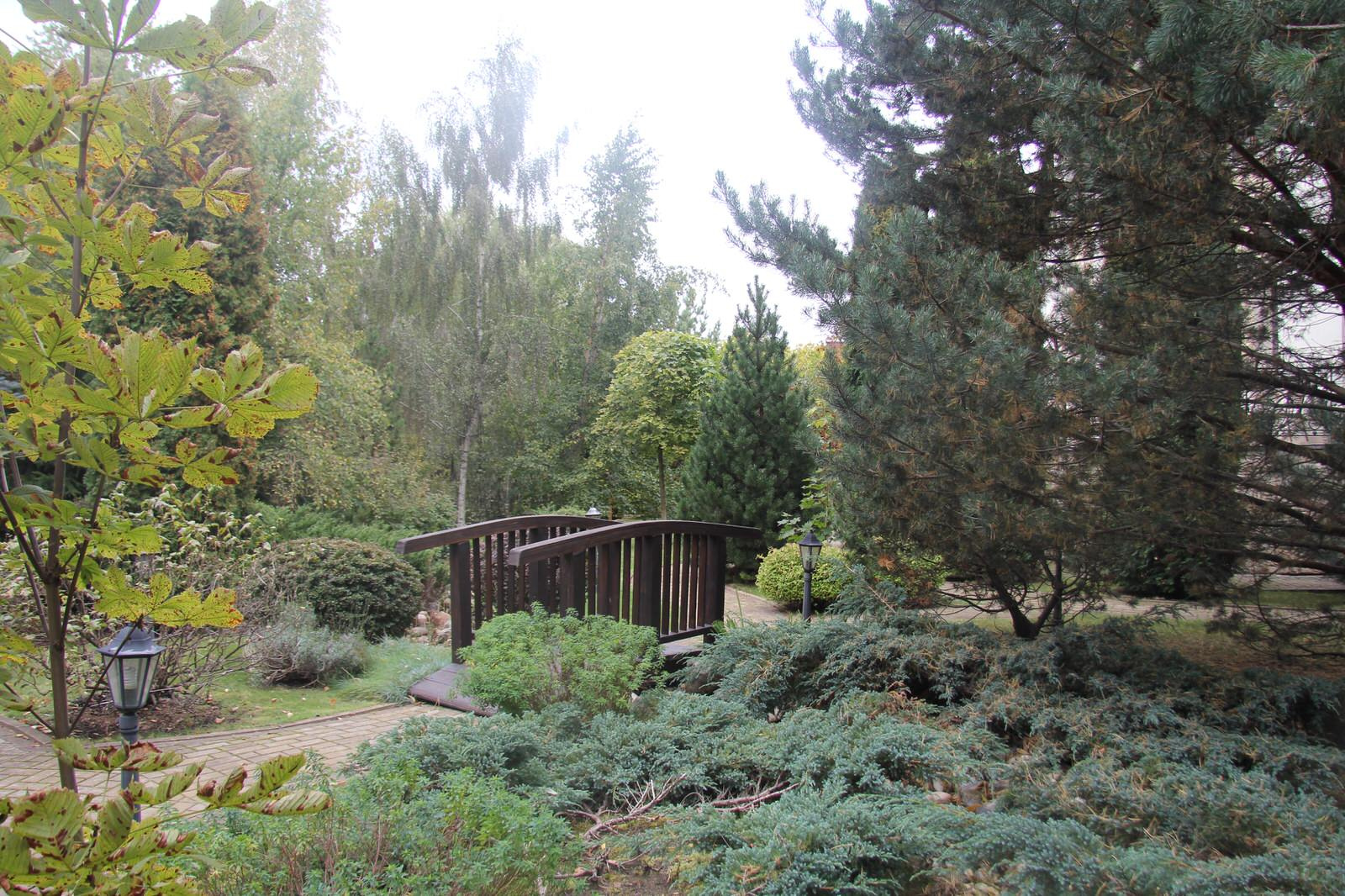 Проект в Новоспасское