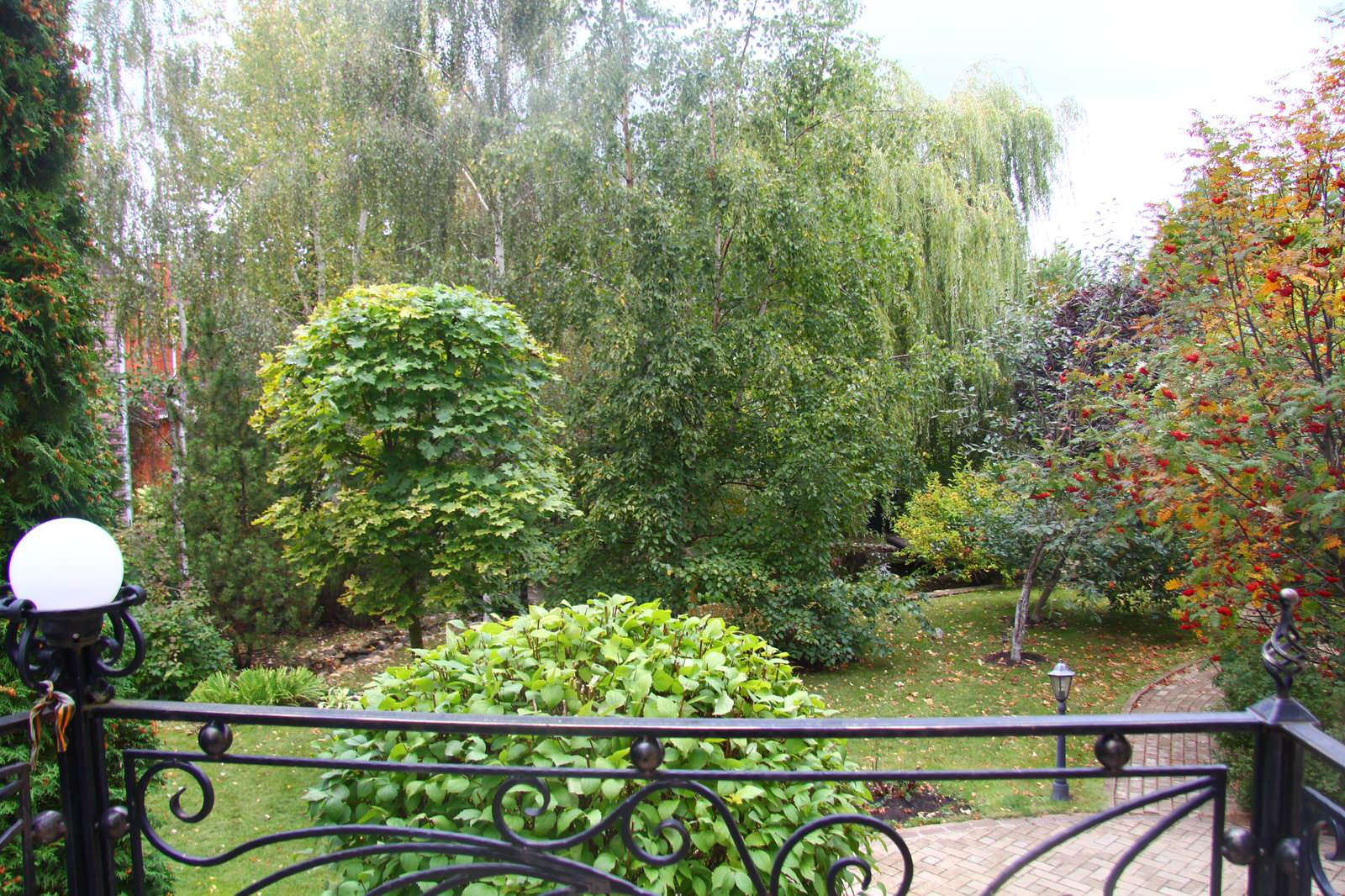 Проект в Новоспасское