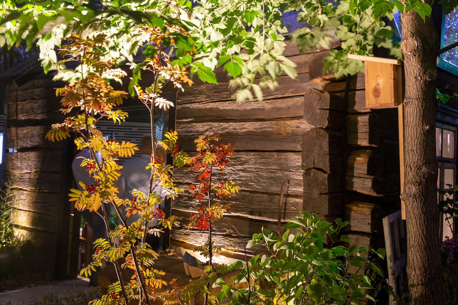 Сад недели: Белорусская хата — на краю поля ржи