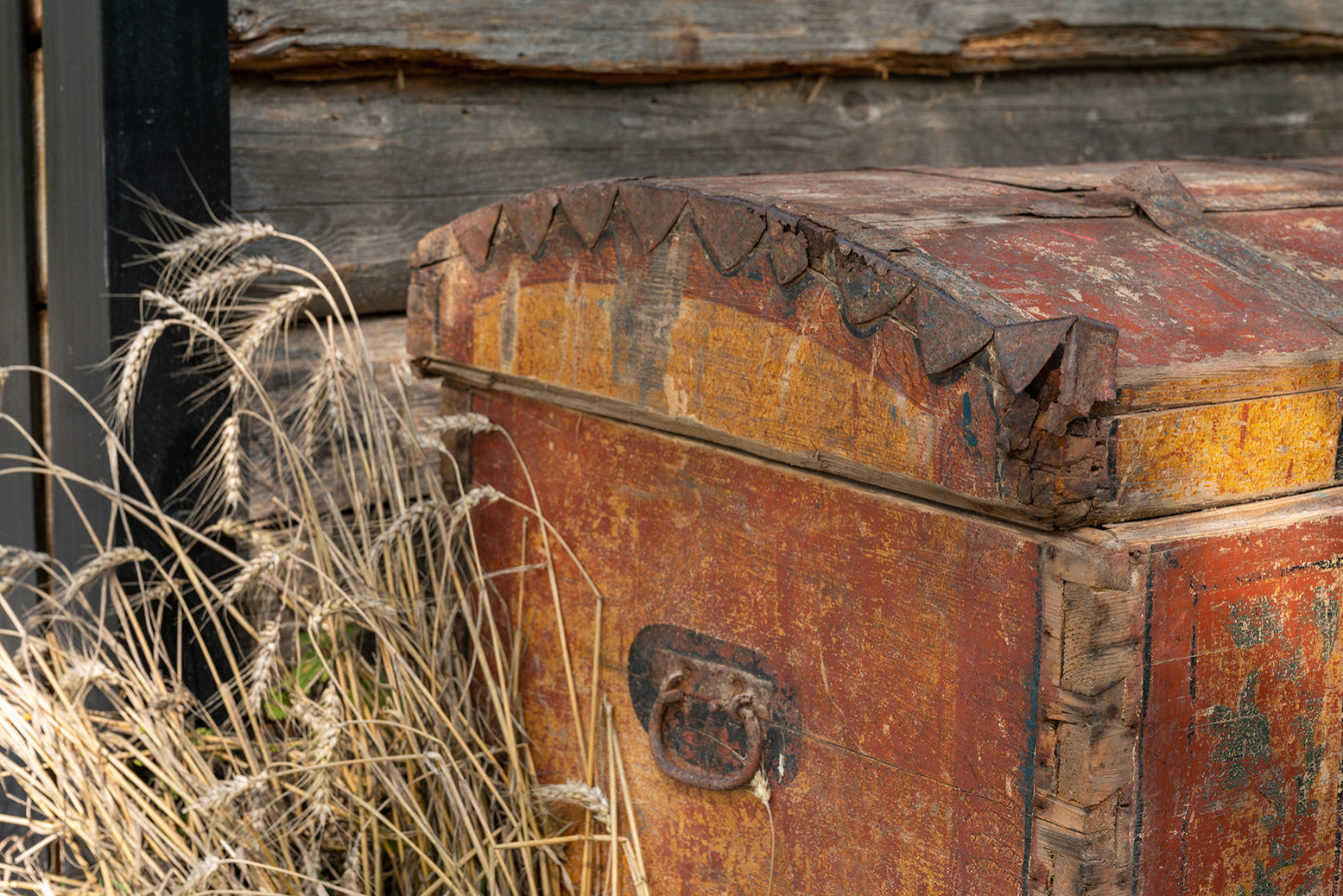 Сад недели: Белорусская хата — на краю поля ржи