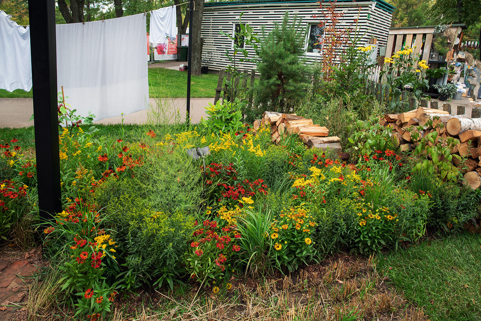 Сад недели: Белорусская хата — на краю поля ржи
