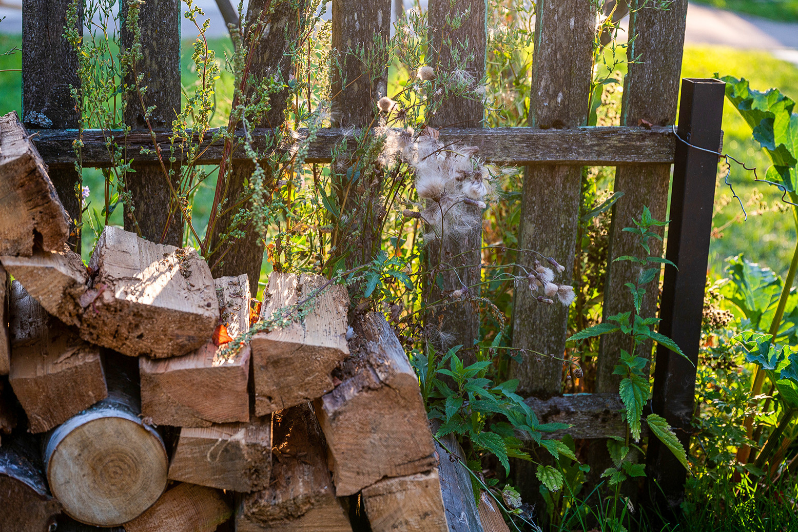 Сад недели: Белорусская хата — на краю поля ржи
