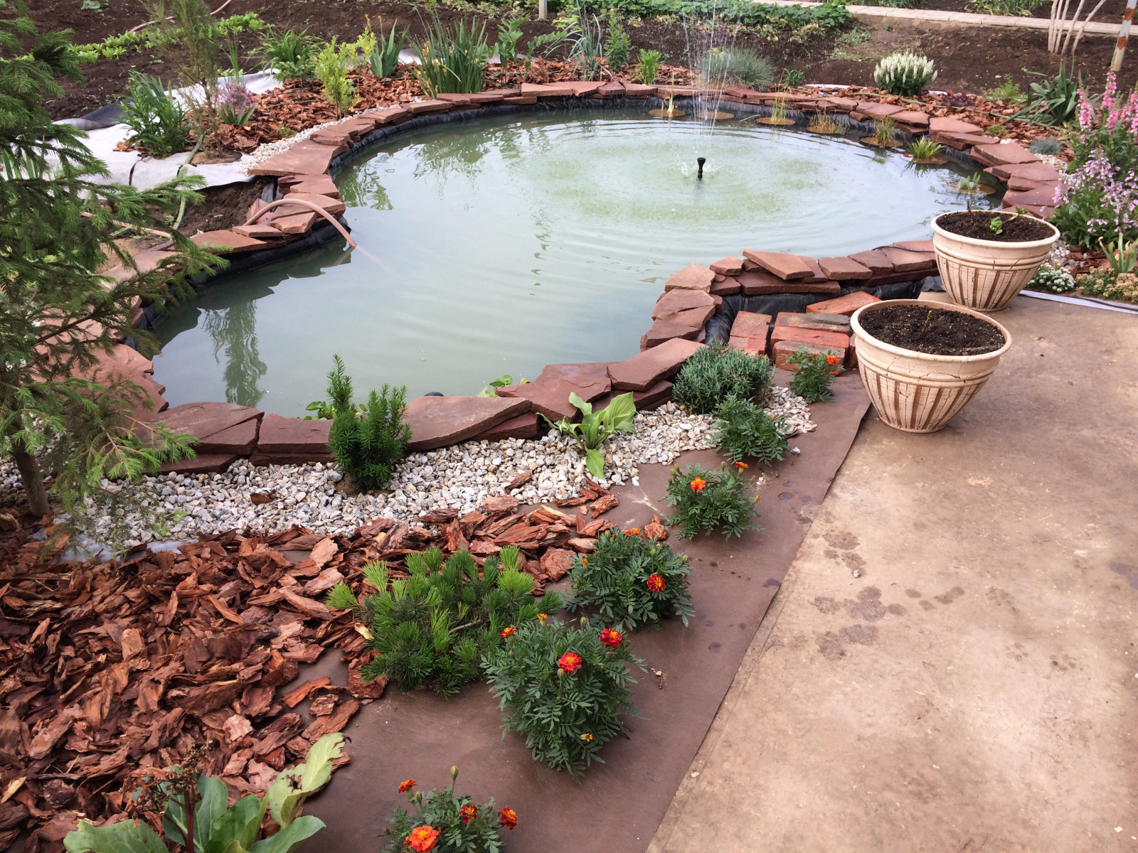 Садовый пруд с мостиком