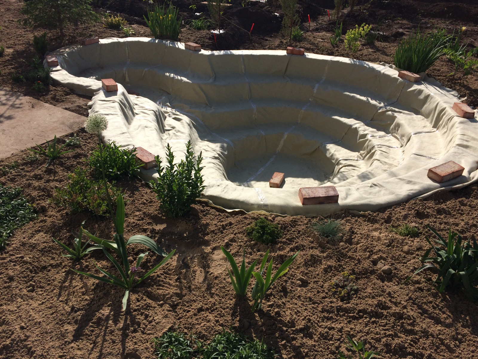 Садовый пруд с мостиком