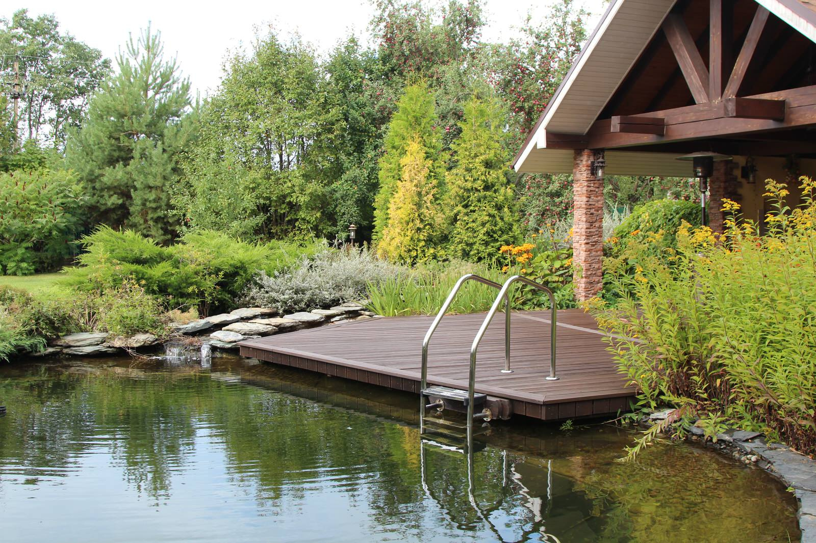 Цветущий летний сад