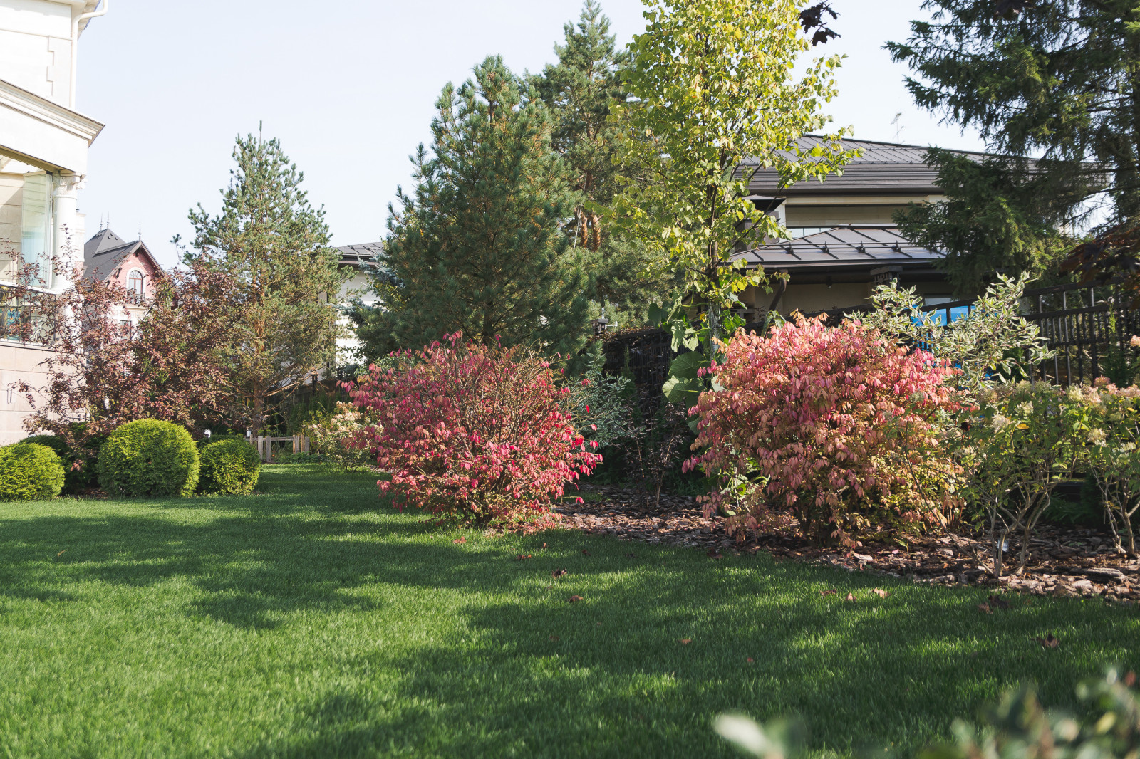 Современный сад на Успенском шоссе