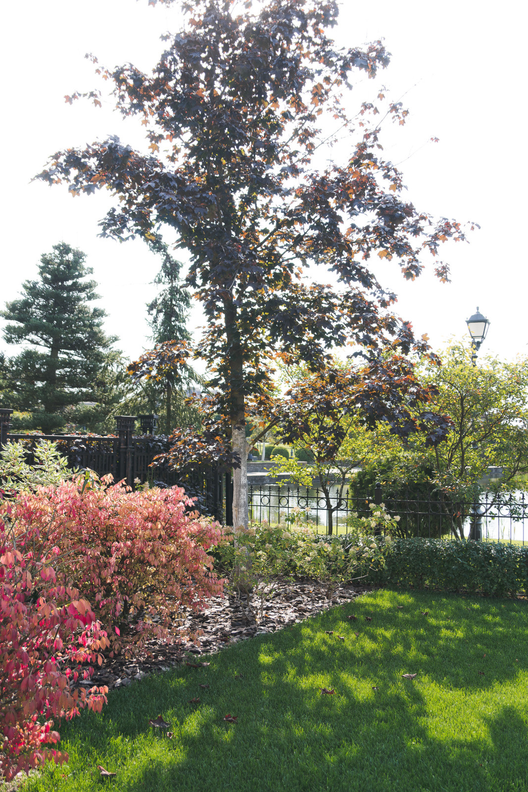 Современный сад на Успенском шоссе