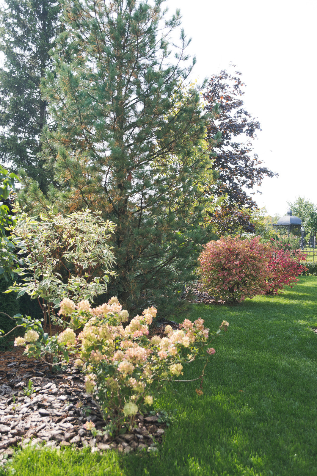 Современный сад на Успенском шоссе