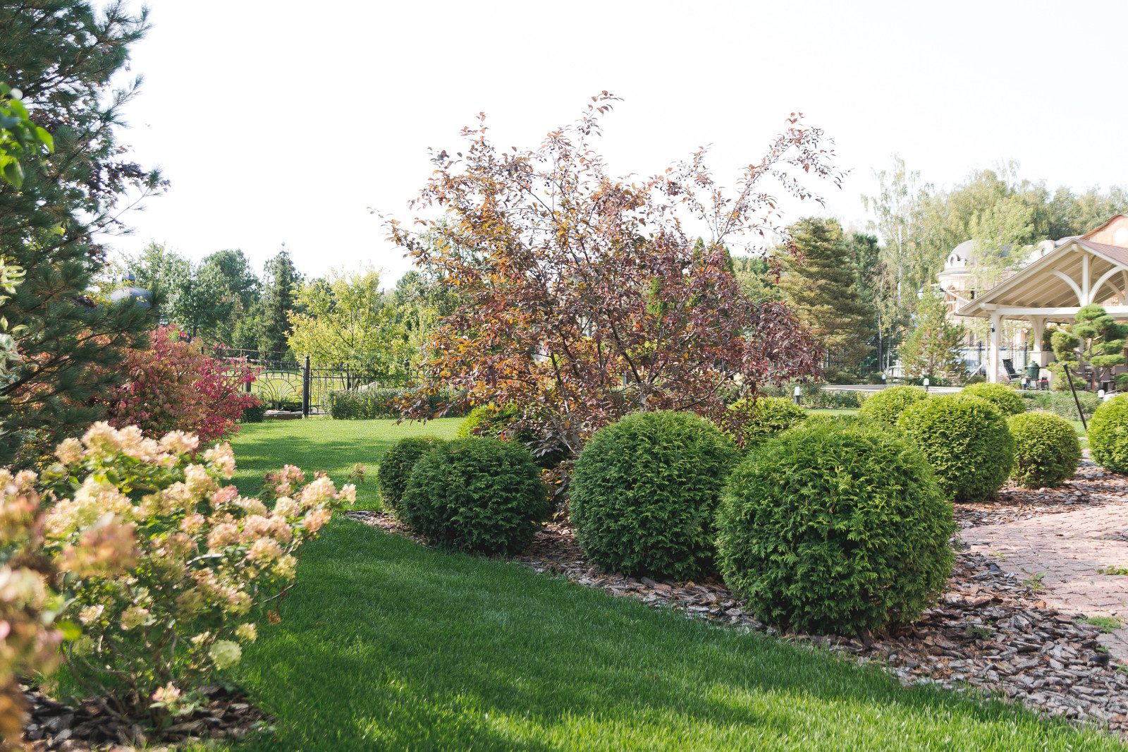 Современный сад на Успенском шоссе