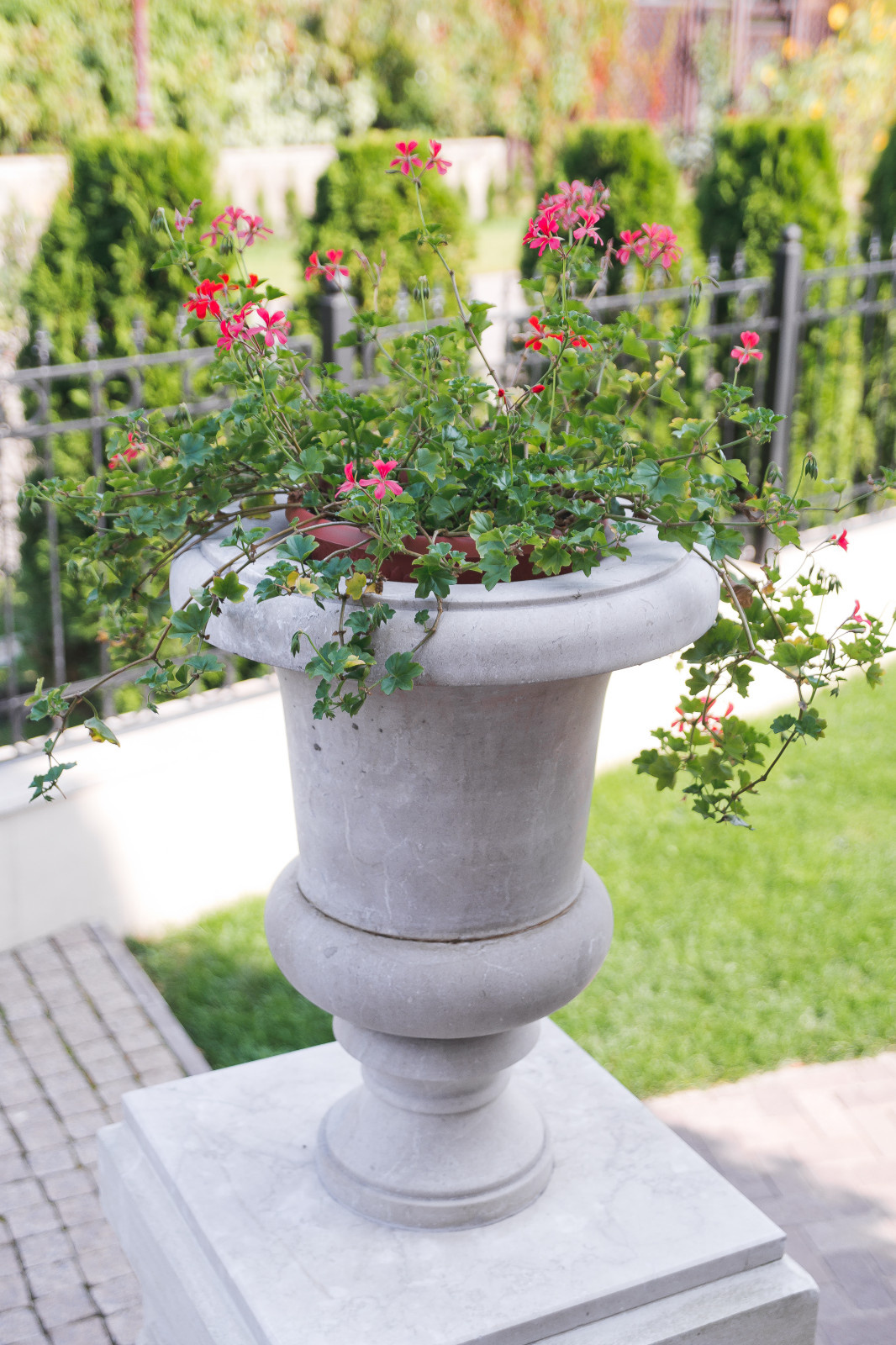 Современный сад на Успенском шоссе