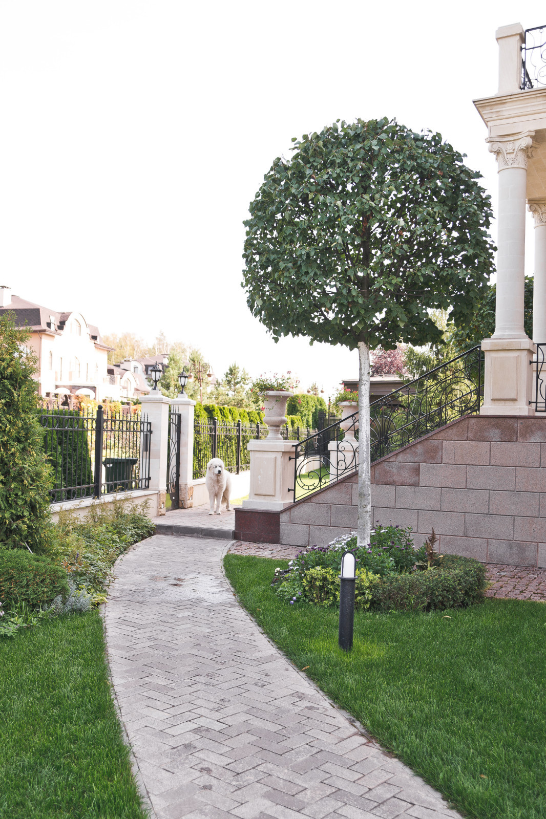 Современный сад на Успенском шоссе