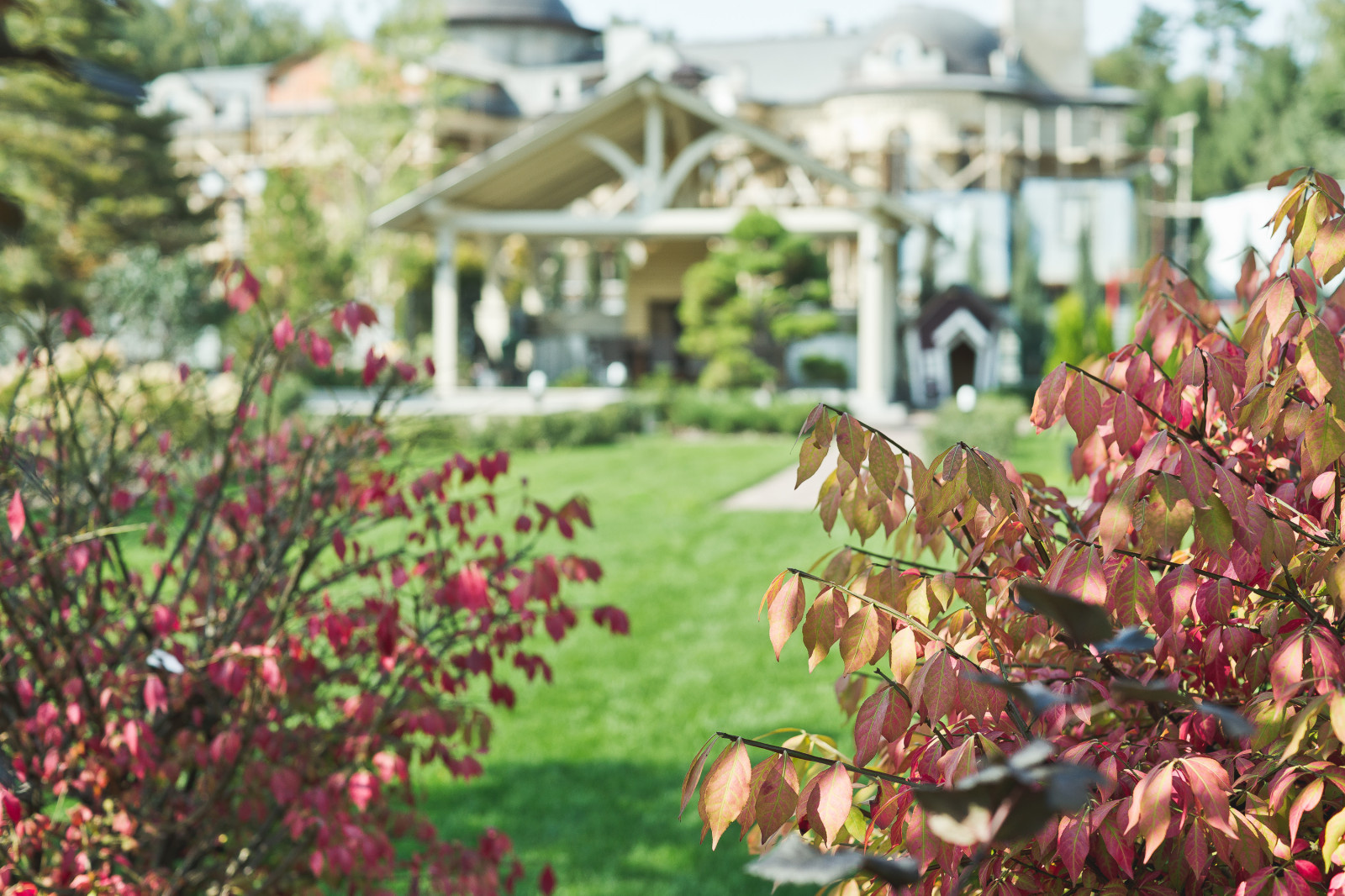 Современный сад на Успенском шоссе