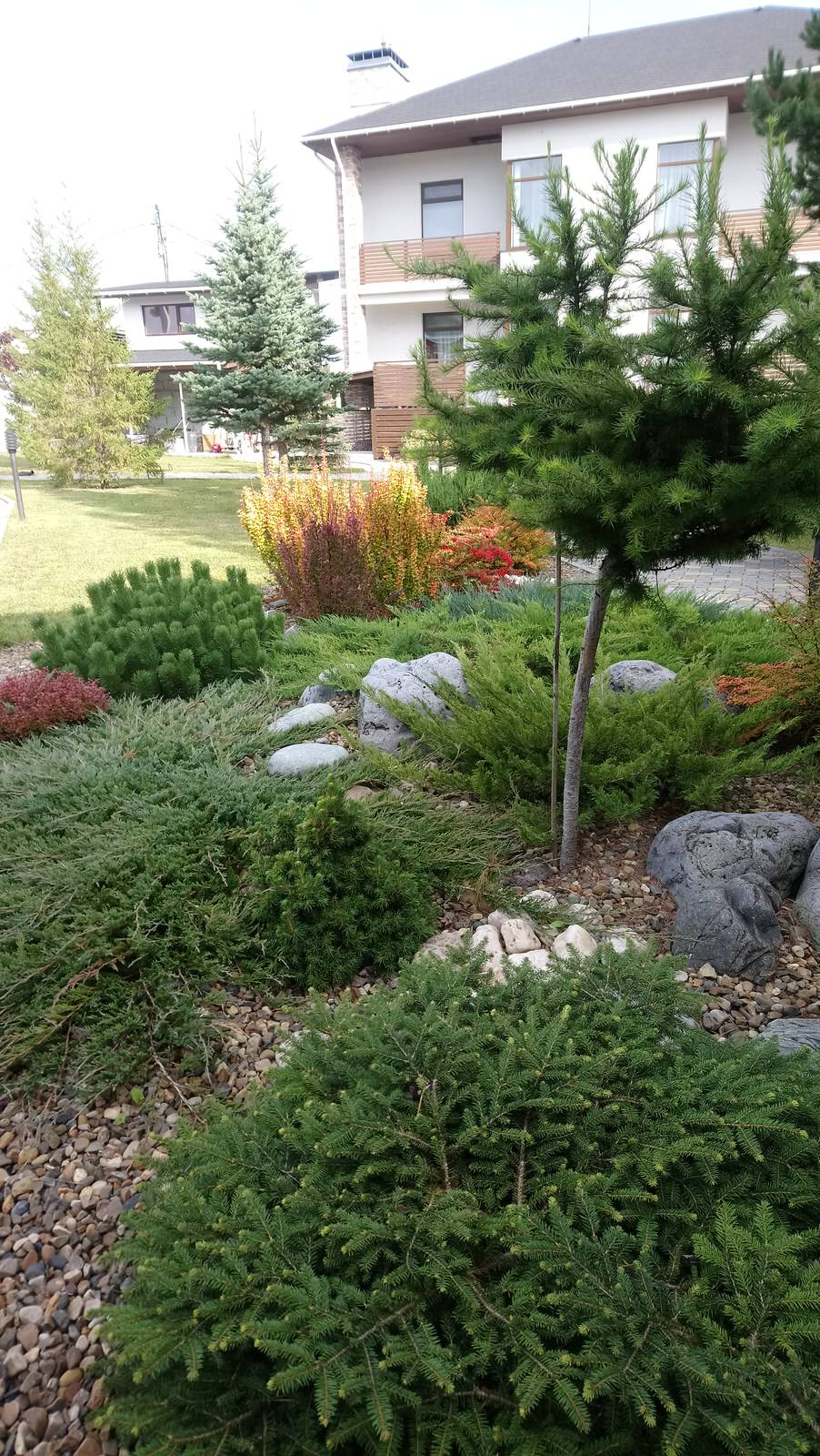 Идеи для современного сада.