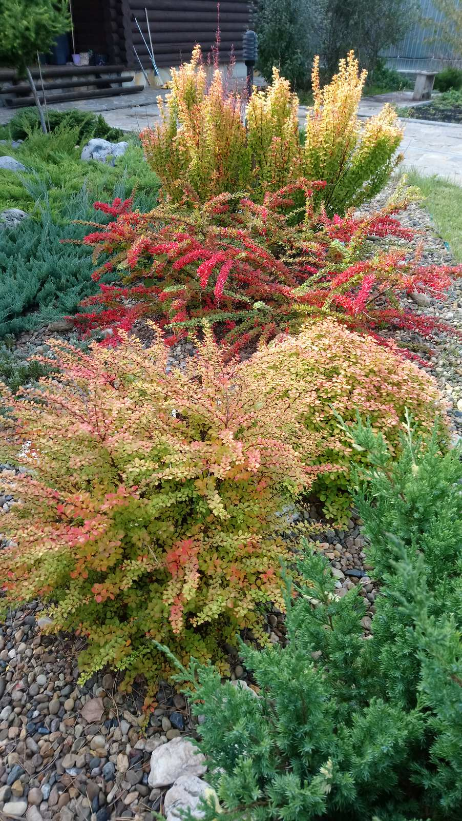 Идеи для современного сада.