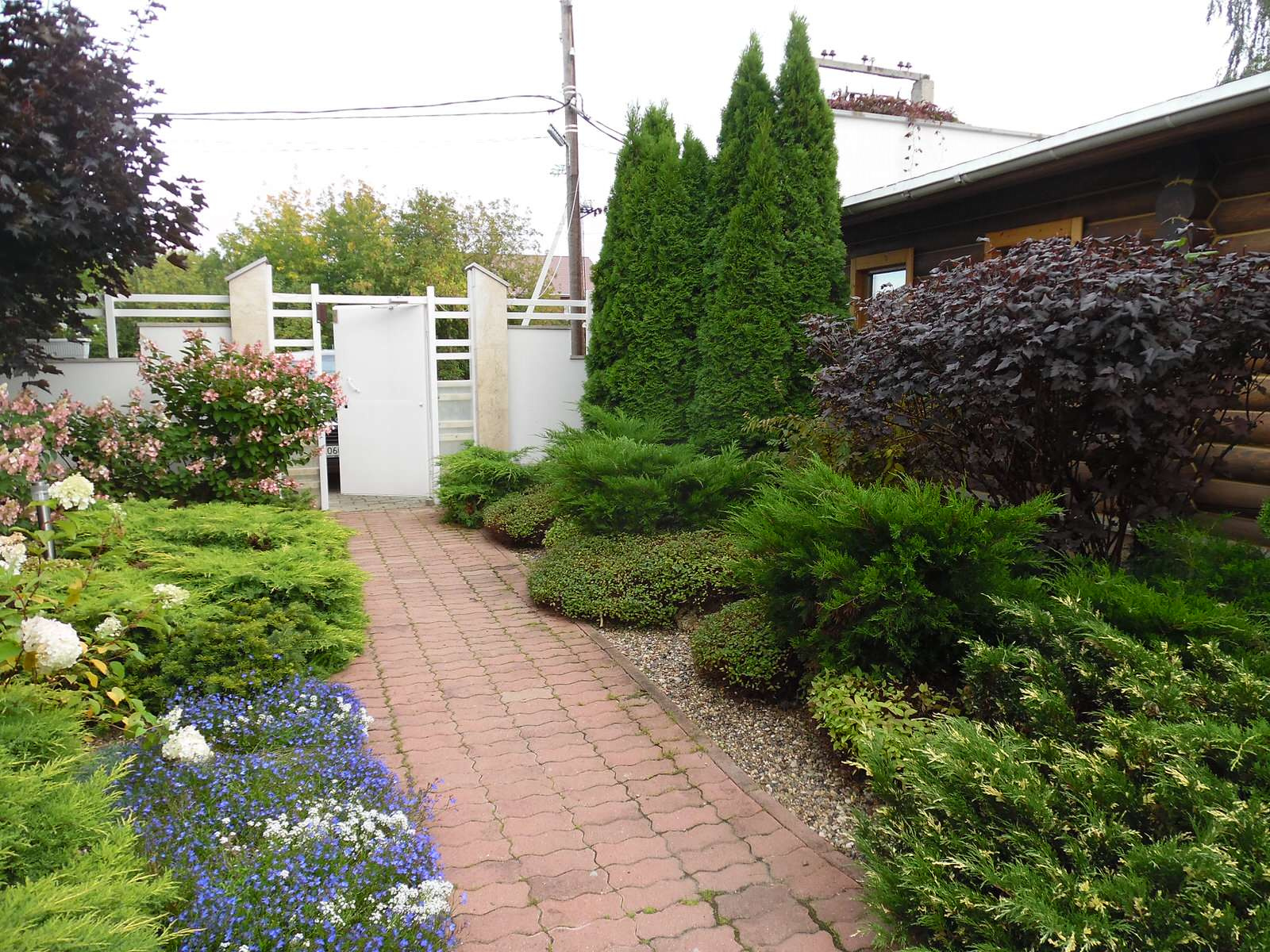 Маленький камерный сад.