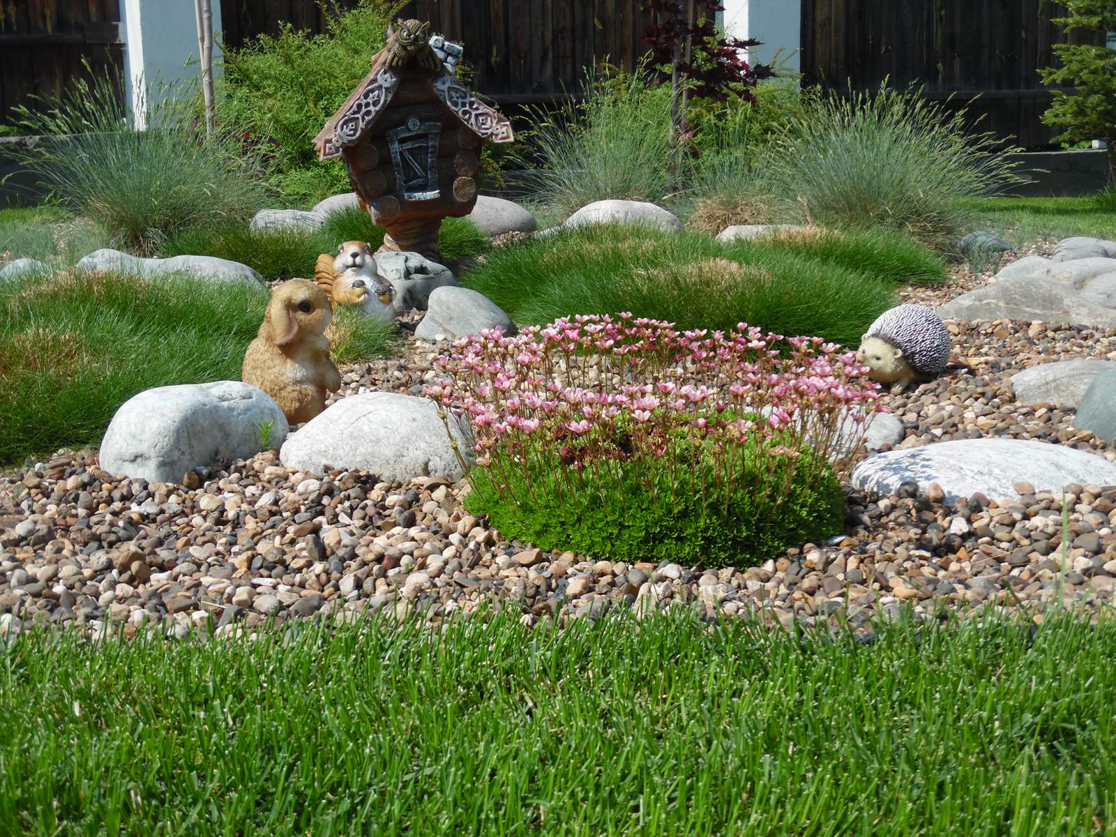 Идеи для современного сада.