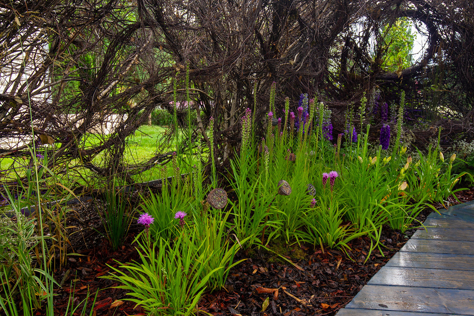 Проект недели: Сад «Декорации Метерлинка» на выставке в Москве