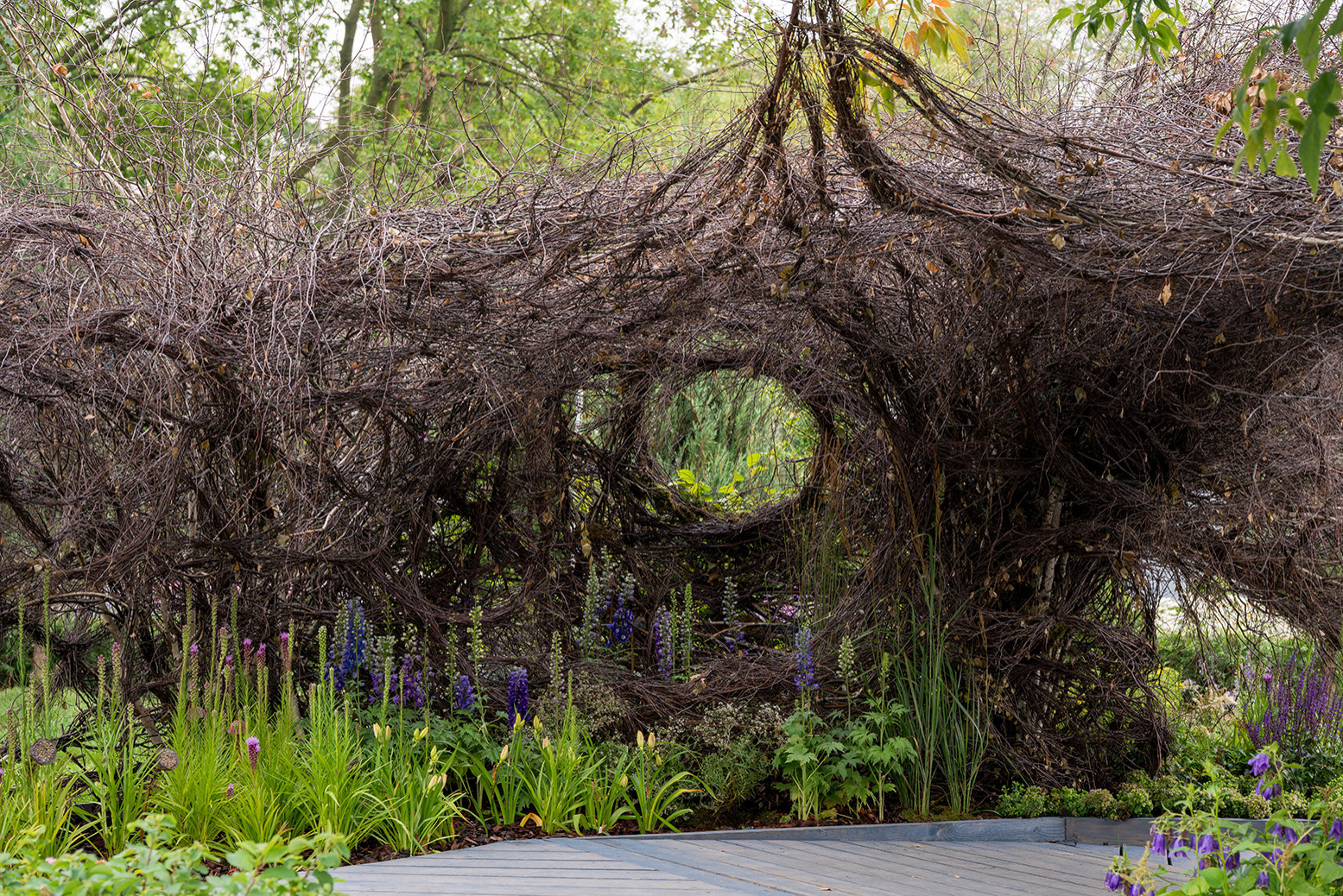 Фотосъемка Сада   по  Метрелинку на MFS 2019 Авторы М,Береснева М. ПРИНТЦ