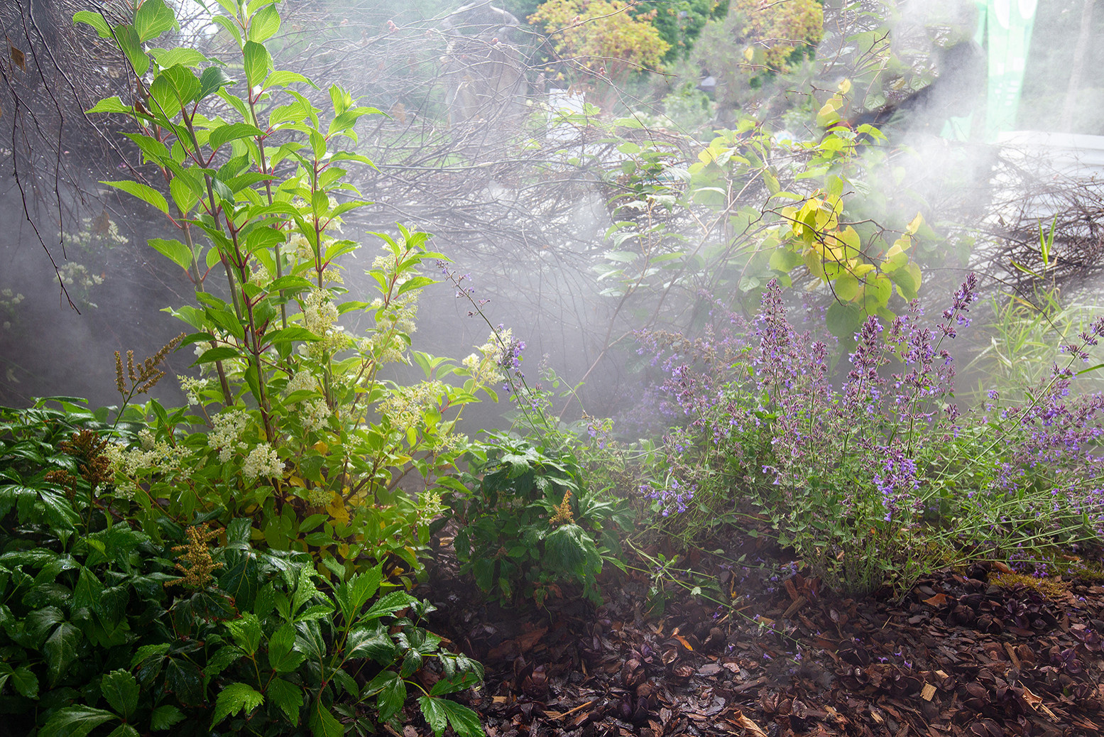 Фотосъемка Сада   по  Метрелинку на MFS 2019 Авторы М,Береснева М. ПРИНТЦ