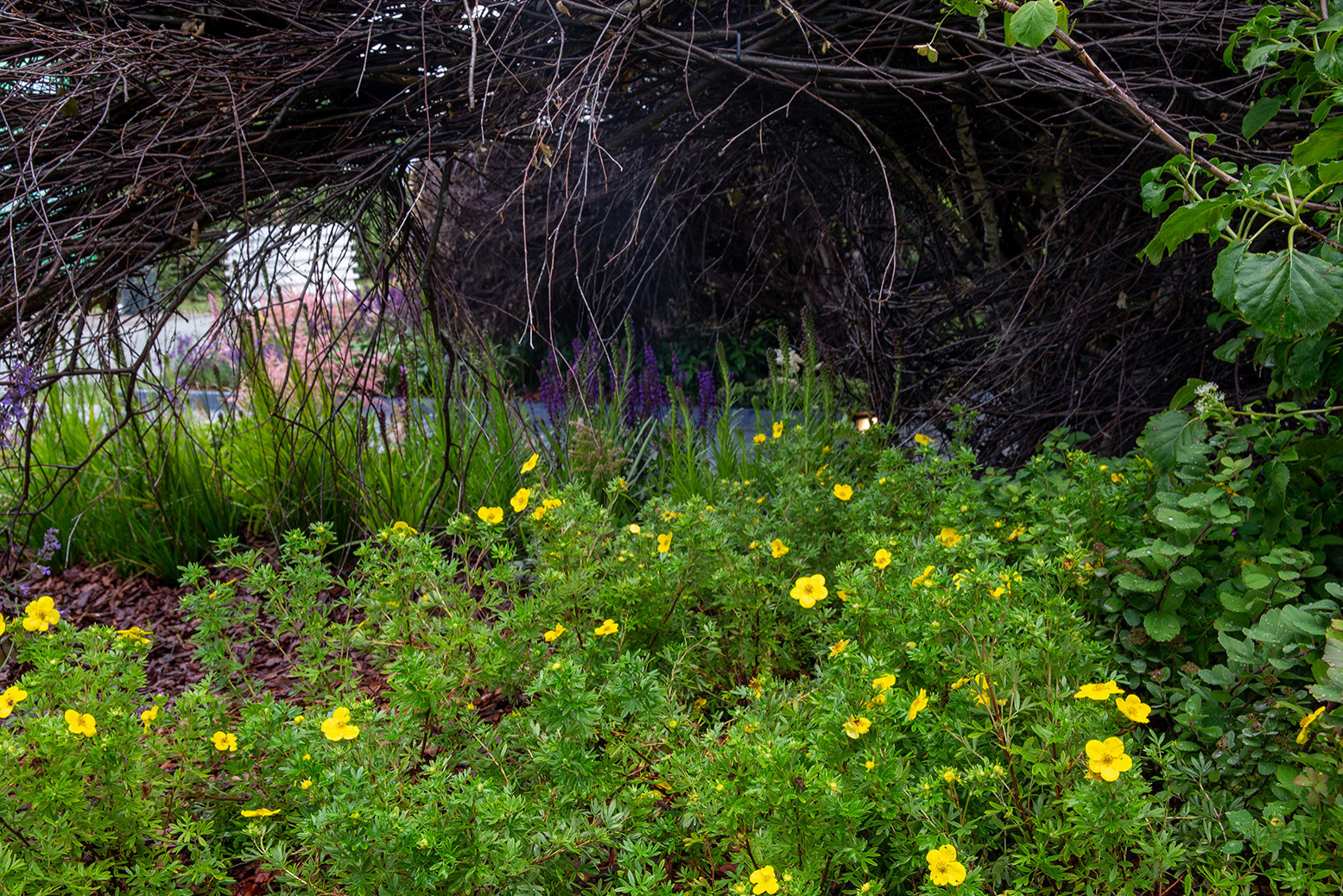 Фотосъемка Сада по сказке СиняяПтица на MFS 2019 Авторы М,Береснева М. ПРИНТЦ