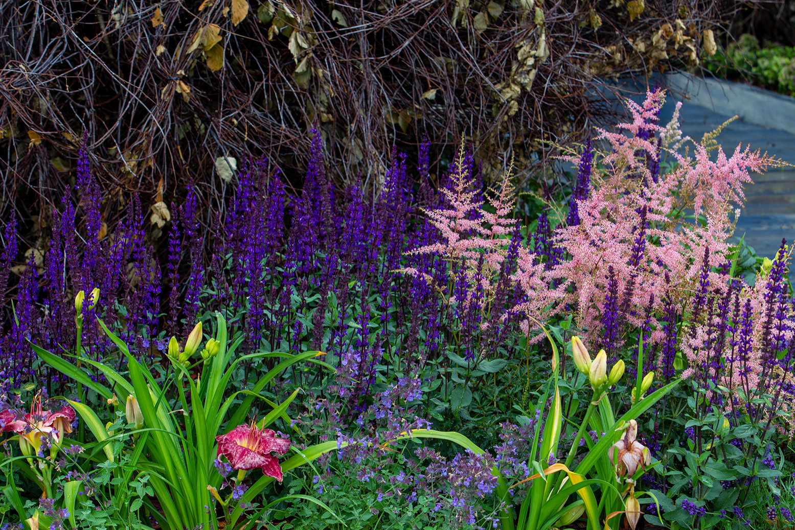 Проект недели: Сад «Декорации Метерлинка» на выставке в Москве