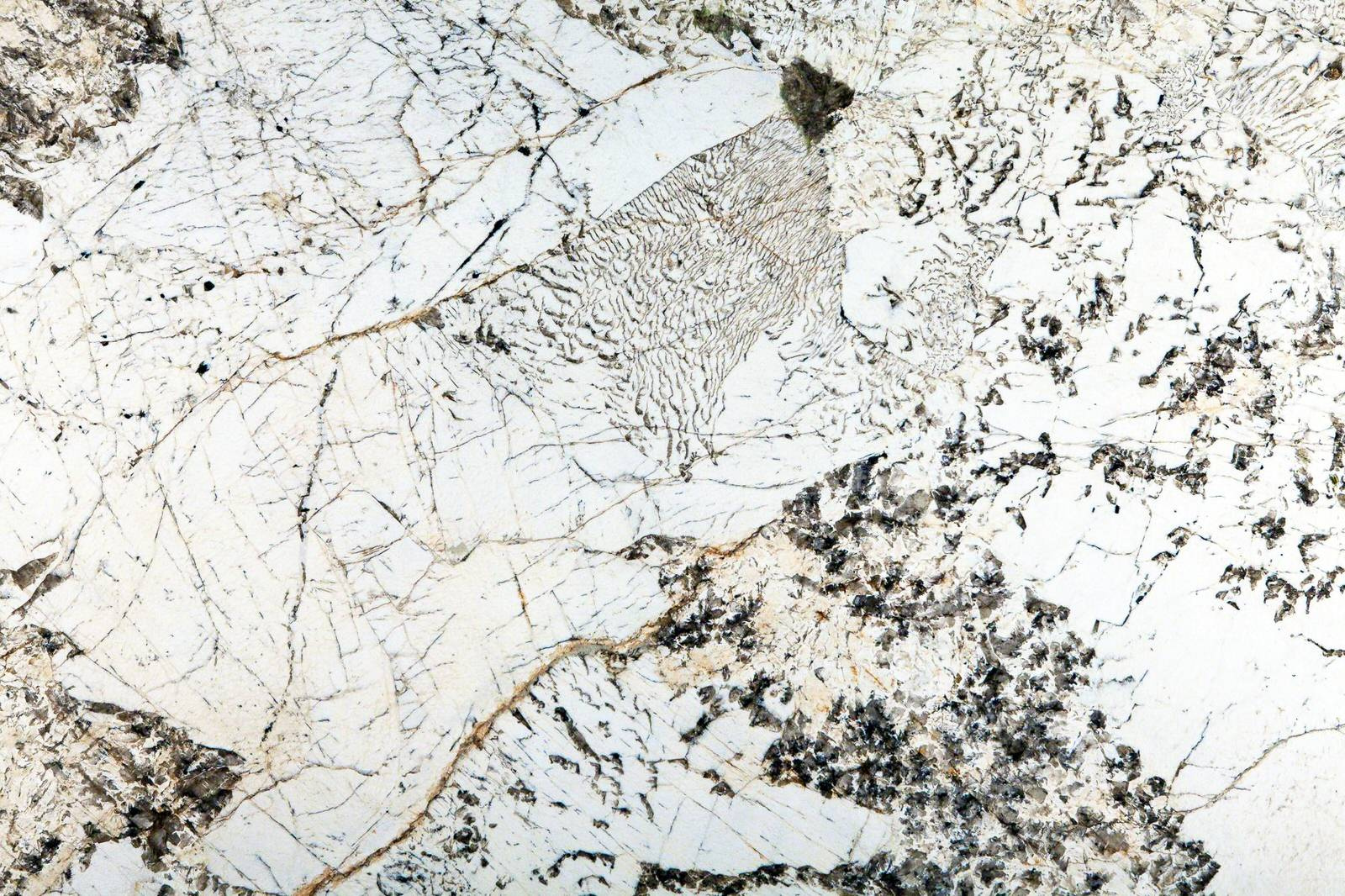 Анатолий Трефилов