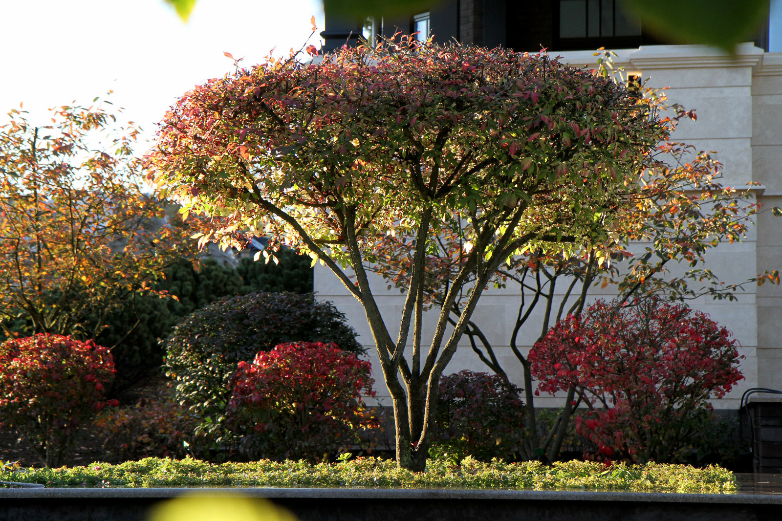 Сад четырех стихий