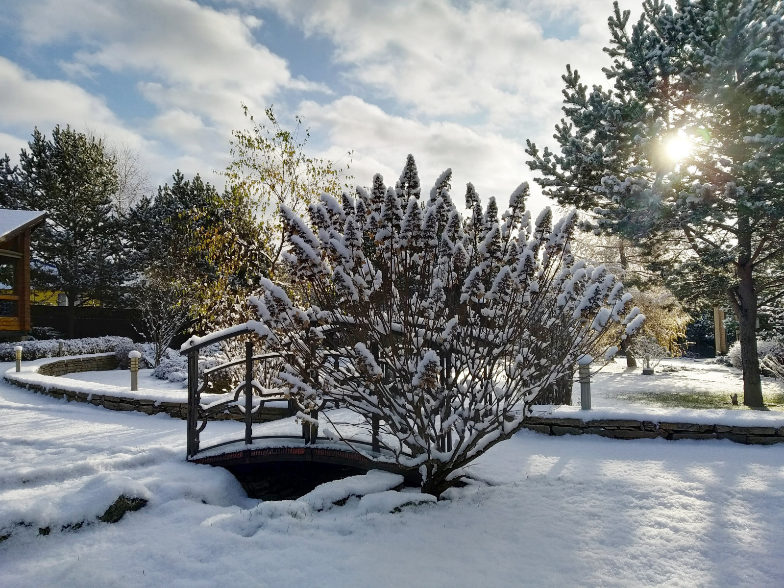 Просто фото: 20 садов в снегу