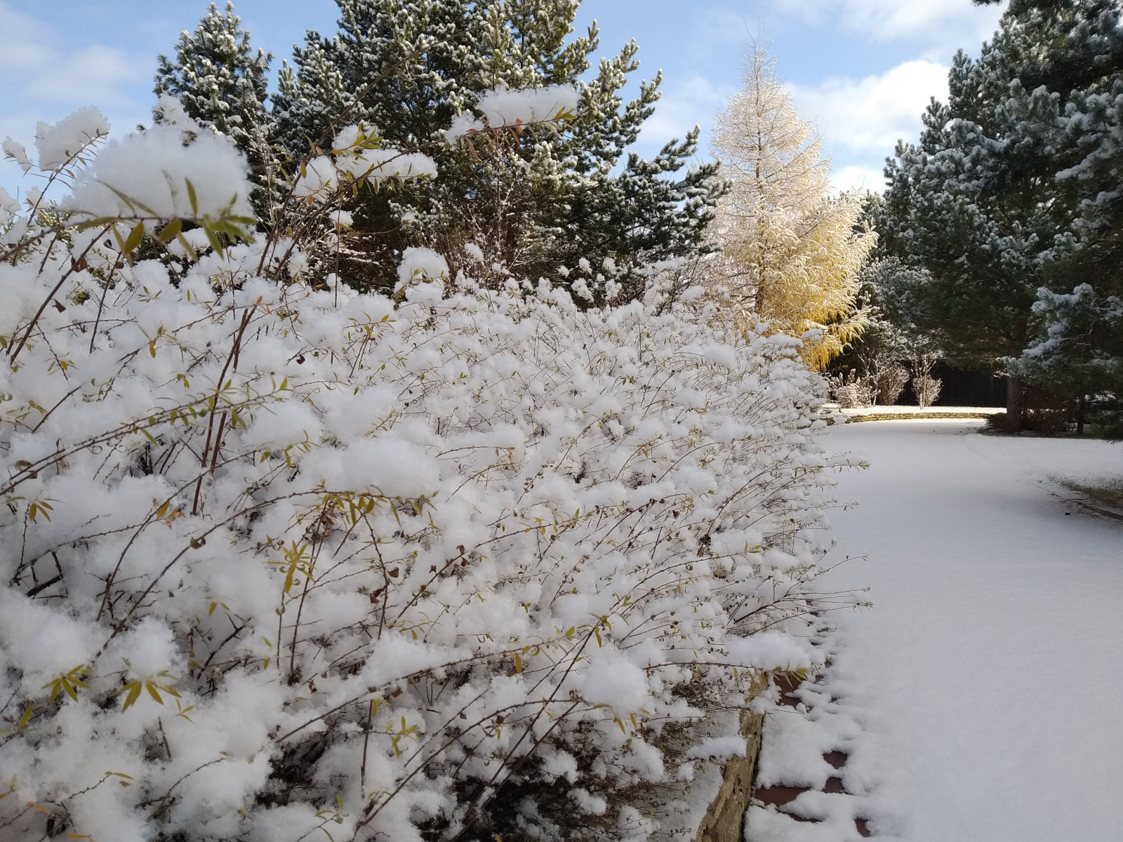 Зима пришла