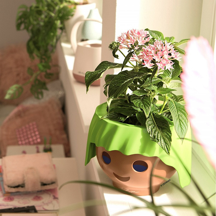 Обложка проекта: Растения для детской