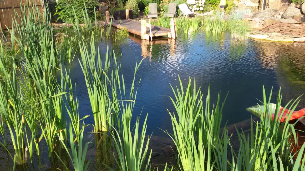 Плавательный водоём в п. Безводное (Нижегородская область)