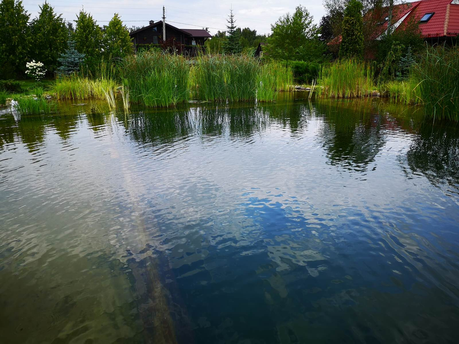 Плавательный водоём в п. Хрущёво (Московская область)