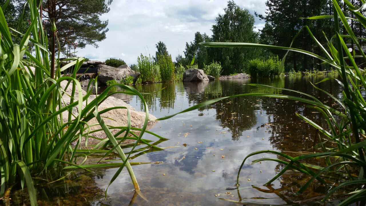 Декоративный водоём с карпами кои в п. Мельниково (ЛО)
