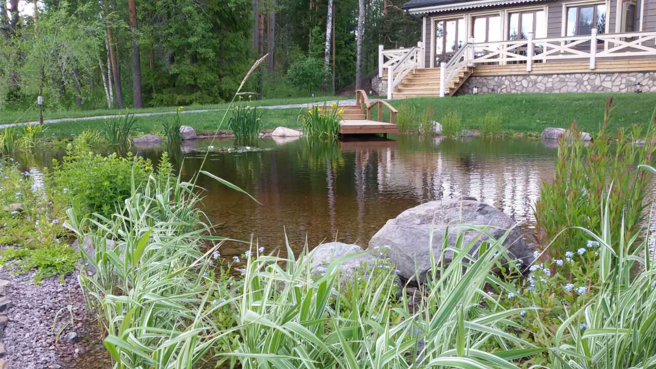 Декоративный водоём с карпами кои в п. Мельниково (ЛО)