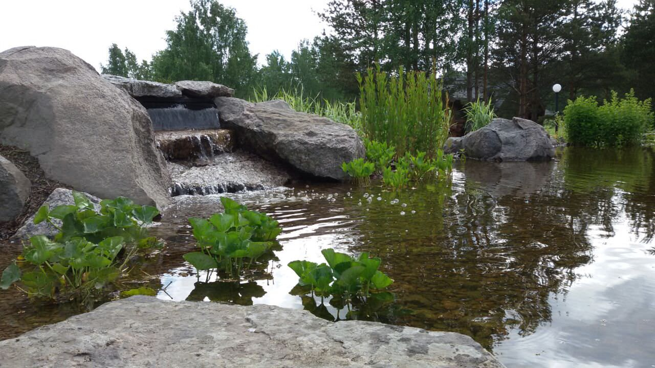 Декоративный водоём с карпами кои в п. Мельниково (ЛО)