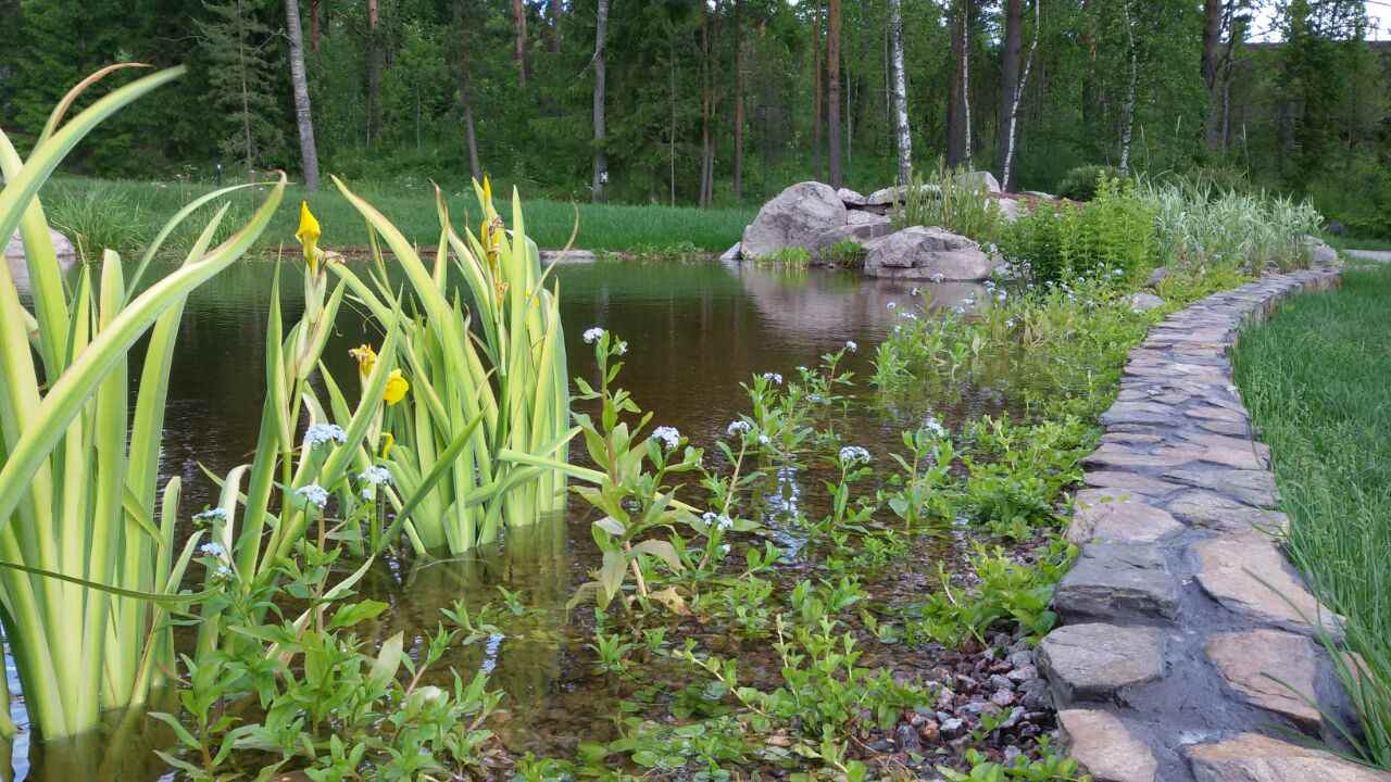 Декоративный водоём с карпами кои в п. Мельниково (ЛО)