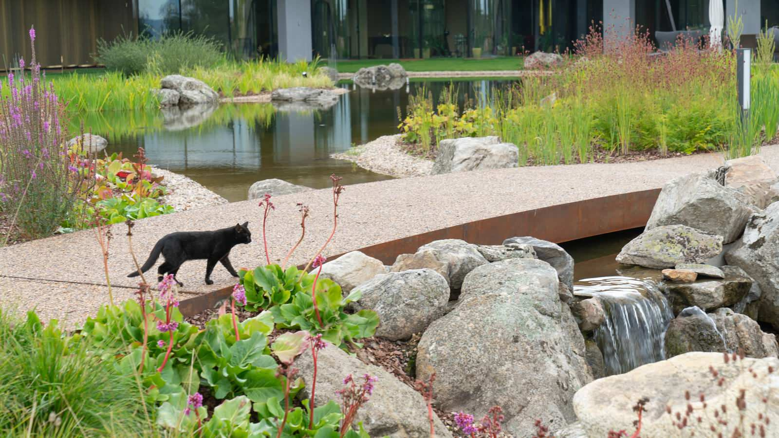 Обложка альбома: мосты над ручьем
